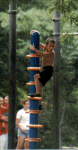 monkey_small.GIF (10757 bytes)